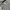 Midi Skirt Stripe Gray Slit photo 2