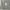 Midi Skirt Stripe Gray Slit photo 5