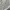 Midi Skirt Stripe Gray Slit photo 6