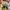 Nike Airmax 95 Triple White photo 8