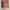 Buku Interior Desain Indonesian Ethnic For Modern Interior P