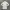 Crewneck Broken White photo 1