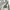 Adidas ZNE Training ziphoodie like nike tech vintage photo 5