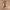 canvas belt photo 1