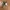 canvas belt  photo 2