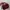 Tas Maroon Belezza  photo 1