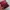 Tas Maroon Belezza  photo 5