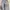 BAGGY Y2K GABRIELLE SHIMER photo 4