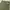 Uniqlo Cargo pants olive green photo 5