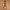 Y2K belt brown photo 1