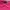 Koas polo warna pink fanta photo 4