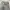 Back&fotrh Carpenter baggy grey jeans photo 8