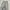 Back&fotrh Carpenter baggy grey jeans photo 4