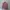 Crewneck Kangol photo 1