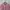 Crewneck Kangol photo 2