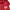 Champion Streetwear Casual Hoody Pria red photo 2