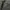 Levis’s 501 grey jeans,straight fitt photo 5
