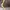 DICKIES CARPENTER BAGGY JEANS  photo 2