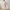 Miss Valley Tennis Skirt Pleated Mini Skirt Orange Peach photo 3