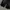cargo sweet pants Thisisneverthat photo 6