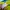 Adidas Casual Short Pria multicolor photo 6