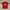 Manchester United Jersey