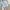 High Waist Mini Tennis Skirt Sky Blue Pleated Skirt Import photo 4