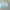 High Waist Mini Tennis Skirt Sky Blue Pleated Skirt Import photo 1