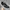 skechers girl sport microspec max - one color photo 1