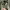 Under Armour Xstrom Track Jaket Softshell photo 7