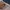 Atasan Balon Love Bonito Bordir full photo 5