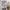 Atasan Balon Love Bonito Bordir full photo 4