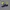 Sepatu Skechers Engineered Vapor Foam Yunji photo 1