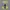 Sepatu Skechers Engineered Vapor Foam Yunji photo 6