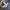 Human Made Y2K Short Pria blue photo 5