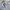 Human Made Y2K Short Pria blue photo 6