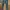 Nudie tight terry dusty denim photo 2
