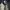Nudie tight terry steelnavy photo 5