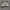 NB 1906R Harbour Grey photo 3