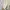 GU UNIQLO CARDIGAN RAJUT LIDI KNIT BASIC V-NECK WHITE photo 3