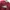 Converse Vintage Sportswear Sweatshirt Pria red photo 2
