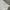 Pakaian Puma Sportwear Unisex White photo 2