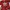 Bathing Ape x Adidas red camo tee original photo 2