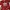 Bathing Ape X Adidas Red Camo Tee Original