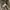 Casual Harrington jacket Pria cream photo 4