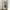 Casual Harrington jacket Pria cream photo 8