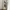 Casual Harrington jacket Pria cream photo 8