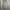 Uniqlo Minimalist Windbreaker Pria Gray
