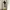 Casual Harrington jacket Pria multicolor photo 7