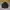 Casual Harrington jacket Pria multicolor photo 1